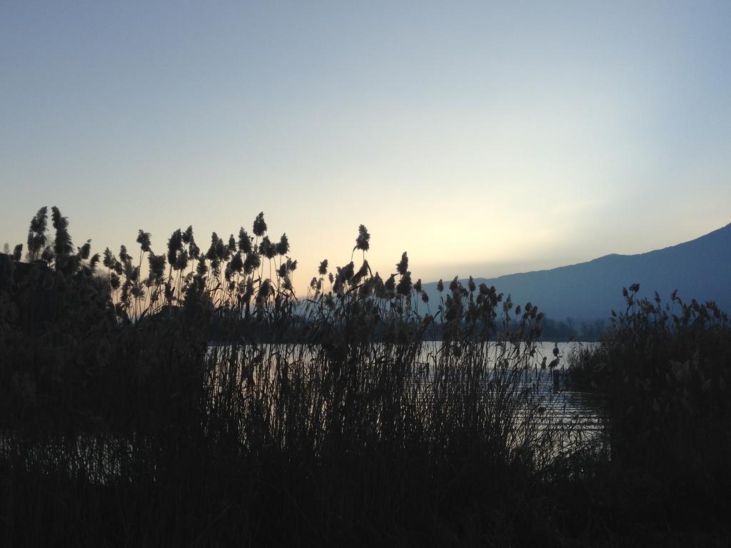 Noemys Viviers-Du-Lac Buitenkant foto